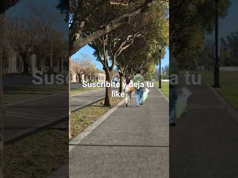 Villa Ramallo Provincia de Buenos Aires Ruta Nacional 9