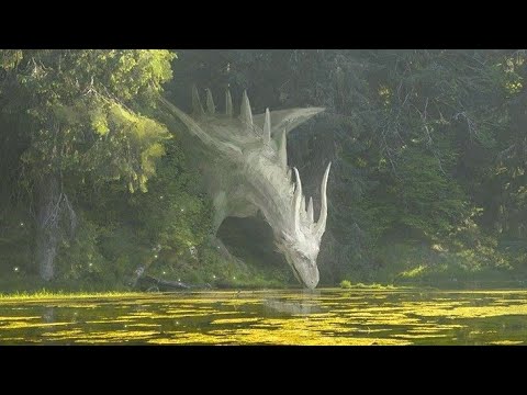 you wake up in the most beautiful enchanted forest | playlist