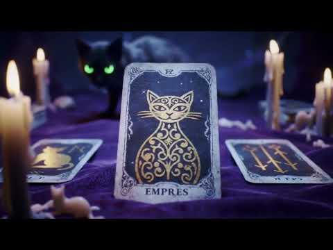 The Cat Tarot AI