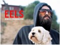 Eels - Sound of Fear