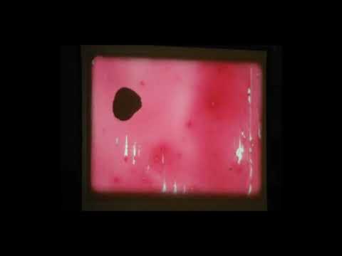 SYNTHPUNK X ELECTRO PUNK X INDUSTRIAL TYPE BEAT | GHoUL