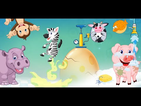 Toddler puzzle games for kids Video