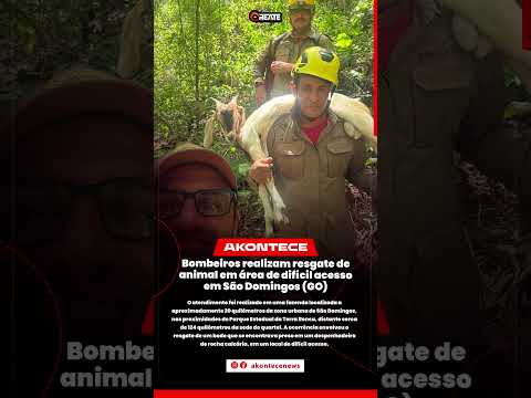 Bombeiros realizam resgate de animal em área de difícil acesso em São Domingos (GO)
