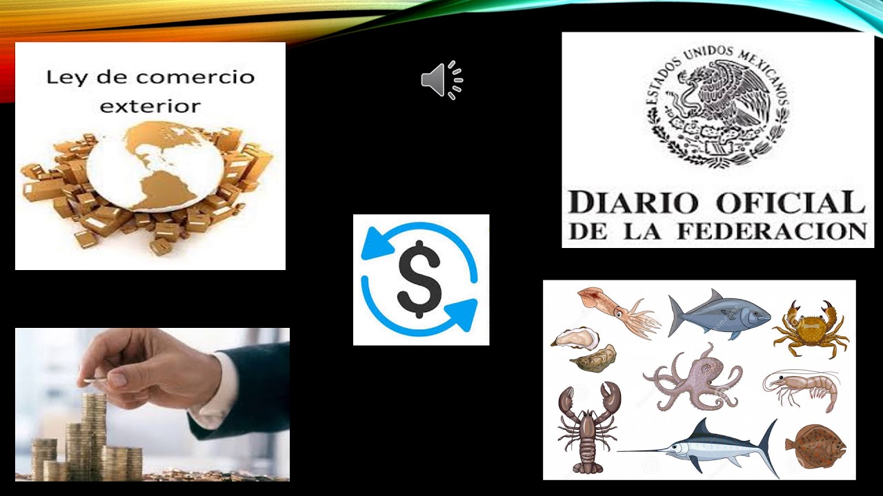 ADMINISTRACION Y OPERACION ADUANERA Reglas y criterios de carácter general en materia VIDEO