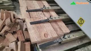 Máy cắt phôi, cắt đoạn hàng loạt, cắt siêu năng suất Woodmaster