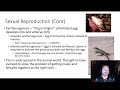 Sexual Reproduction Parthenogenesis