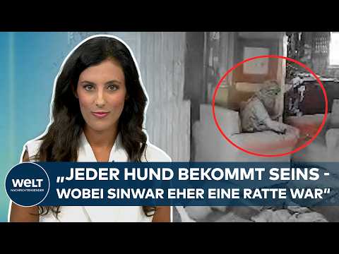 Video Thumbnail: JAHJA SINWAR: Hamas-Chef tot! "Jeder Hund bekommt seins" Journalistin Antonia Yamin spricht Klartext