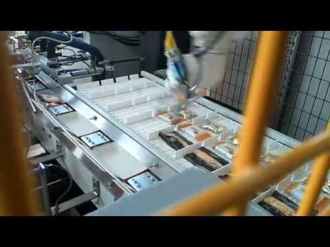 Estuchado Automático Robotizado Con Sistema De Visión