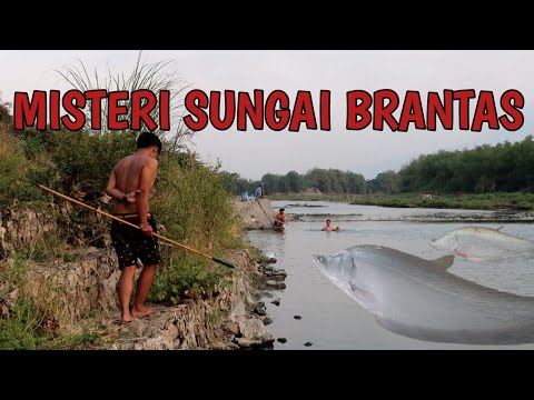 awalnya-niat-berburu-ikan-namun-ketika-nyebur-ke-sungai-malah-evlog-90