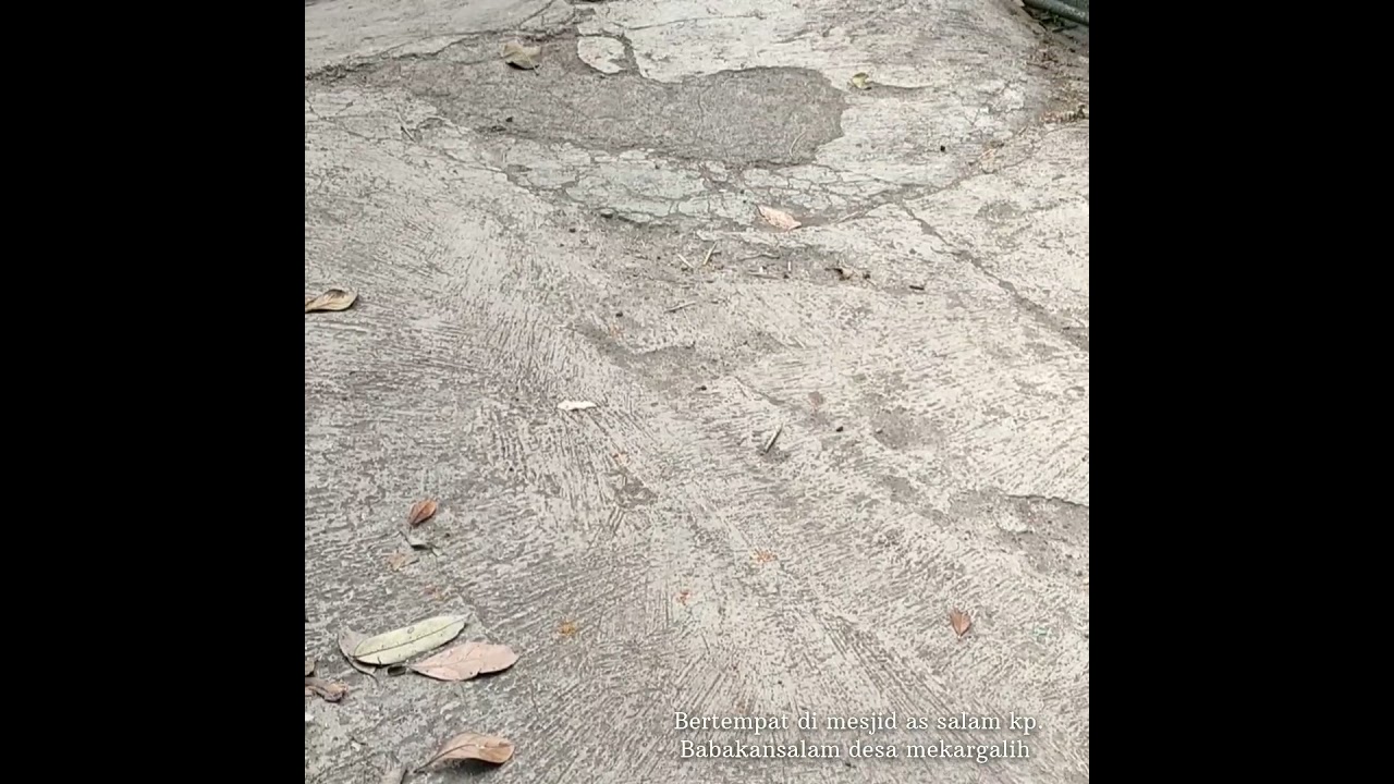 epilog kegiatan kompas