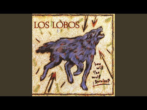 A Matter Of Time - Los Lobos
