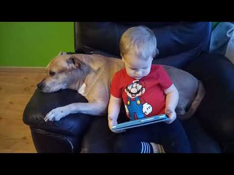 2 year old and dog listening Pavarotti - Nessum dorma