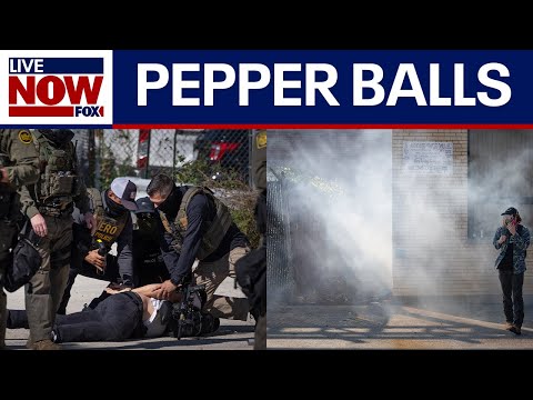 Video | ICE agents fire pepper balls, tear gas at protesters in Illinois | LiveNOW from FOX
