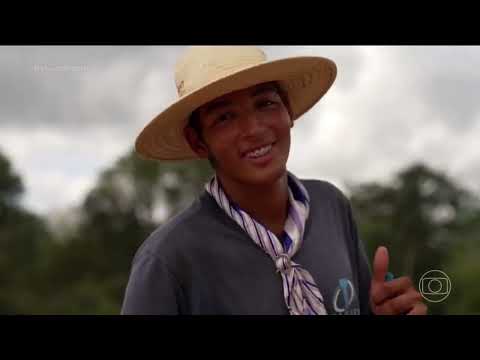 Profissão Repórter. O Trabalho Da  Comitiva No Pantanal -MS