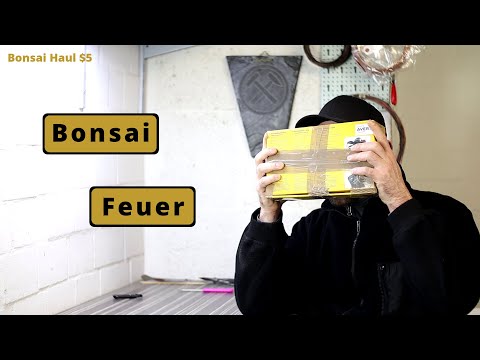 Das Bonsai Feuer - Mein neuer Brenner [Einkauf bei Ebay] | Bonsai Haul $5