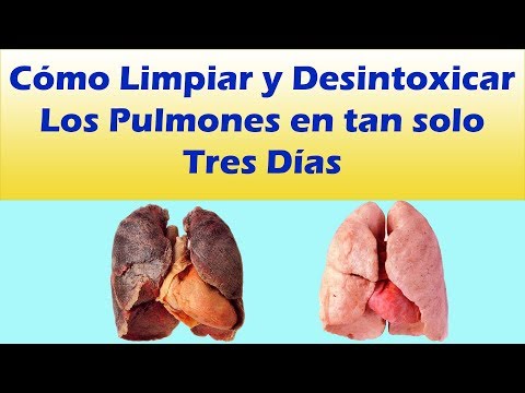 Como Limpiar Los Pulmones En Tan Solo 3 Dias Remedios Caseros Para Limpiar Los Pulmones