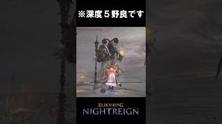 エルデンリンチ ナイトレインDay.2  #eldenringnightreign #eldenring #エルデンリングナイトレイン #gaming #games