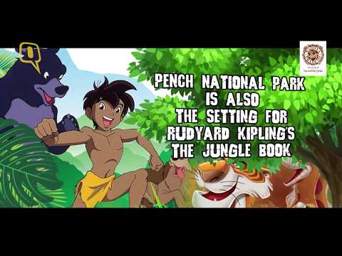 download lagu mp3 mp4 Pench Madhya Pradesh Tourism, download lagu Pench Madhya Pradesh Tourism gratis, unduh video klip Pench Madhya Pradesh Tourism