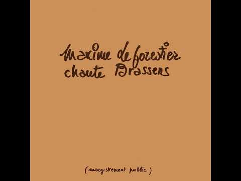 Maxime Le Forestier - Les passantes (enregistrement public 1979)