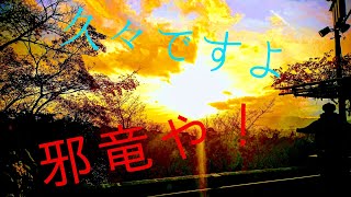【PSO2】久々に邪竜クエいってみた！