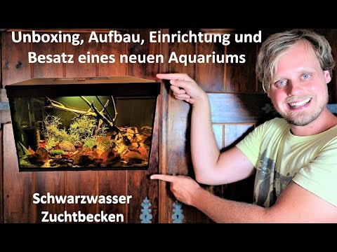 Unboxing Aquael Leddy 40 - Aufbau, Einrichtung und Besatz