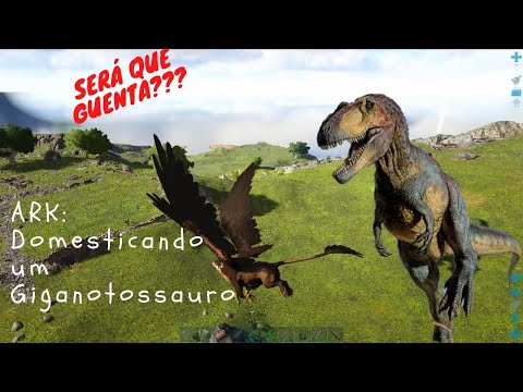 Como DOMESTICAR o GIGANOTOSSAURO - Ark Survival Evolved - Tutorial