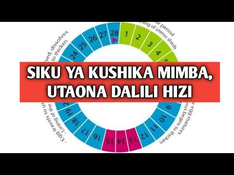, title : 'Siku Ya Kushika Mimba, Utaona Dalili Hizi, Jipange Mapemaa'