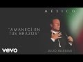 Julio Iglesias - Amanecí en Tus Brazos (Cover Audio)