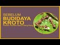 BEFORE CULTIVATION OF KROTO Let S Get To Know The Characteristics Of Rangrang Ants Better