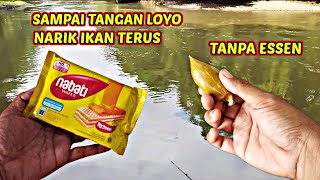 Download lagu TEST THE VEGETABLE WAFER MIX ‼️BAIT FOR NILEM & WADER mp3