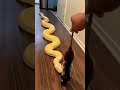 Dando d comer a #serpiente #pitón albina #shorts #raton #reptiles #snake #short #instagram #facebook