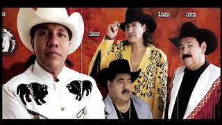 El caballo y la paloma Bronco