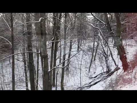 Harzer Schmalspurbahn 2021 / Die Harzquer - und Brockenbahn im Winter 2021 / 31.01.2021.