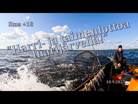 Harrilottoa Inarijärvellä