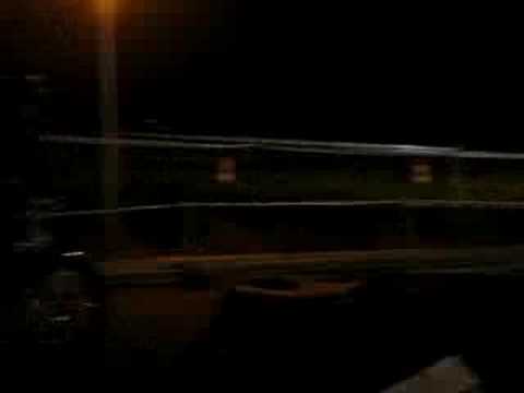 Balla coi cinghiali_part 2