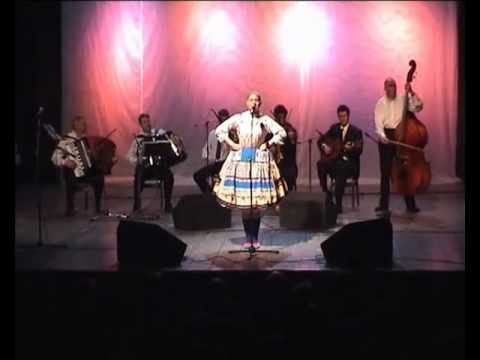 Anna Šagová - Pod strechov sa hniezdi lastovka