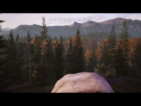 Hunting simulator 2 Colorado legendary Moose got away!