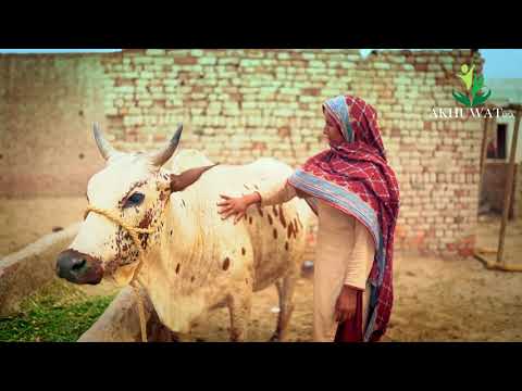 Thriving Women-Led Small Businesses