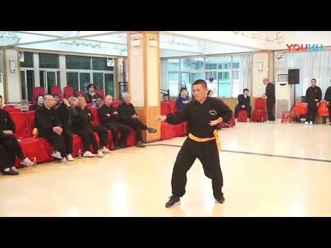 Five Ancestor Boxing -  20 Punches (Ngo Cho Kun, Wuzuquan)