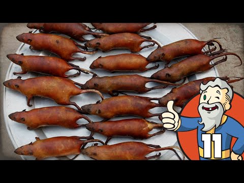 "ROADKILL FOR DINNER!!!" Fallout 4 Part 11 - 1080p HD PC Gameplay Walkthrough
