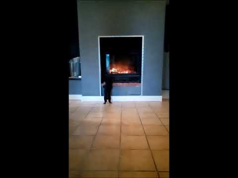 LE FENIL DES CANAILLES 9