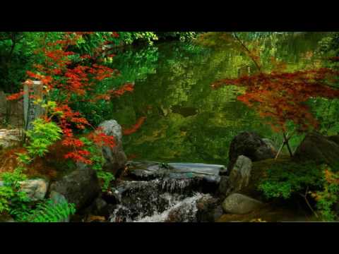 Chris Metcalfe — Transient Garden (Original Mix)