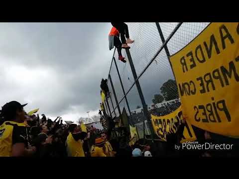 "Hinchada de Peñarol Vs Danubio" Barra: Barra Amsterdam • Club: Peñarol