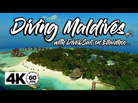 Scuba Diving ELLAIDHOO / MALDIVES | GoPro 7 4K 60FPS