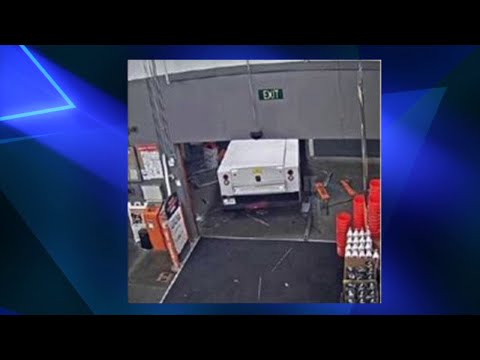 NJ Newark Police Seeking Vehicle Thief & Vandal