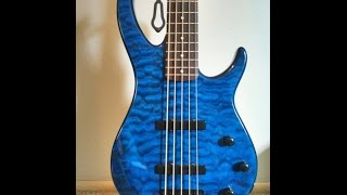 Video thumbnail for Peavey Millennium 5 String Bass Guitar Review By Scott Grove by Groovy Music Lessons