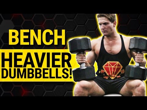 Muscular Strenght Title