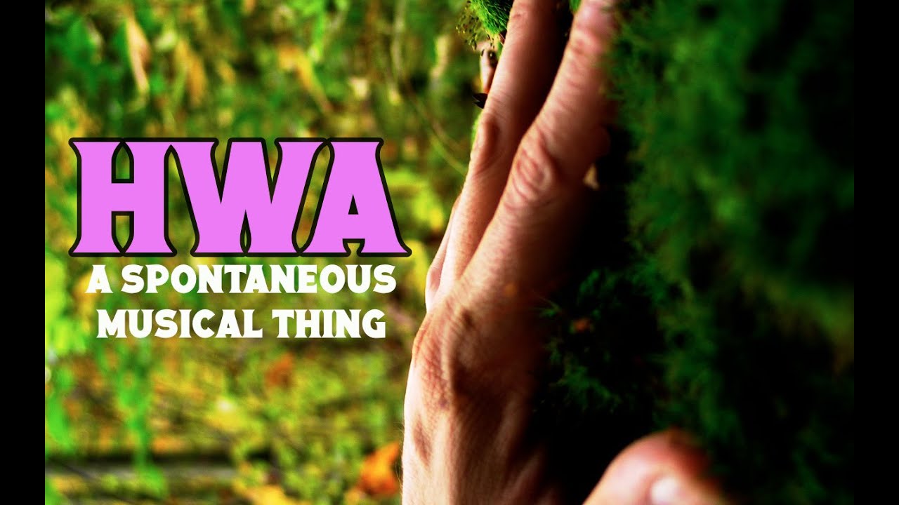 hwa- spontaneous music s.f. radzikowski