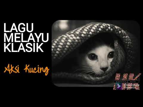 AKSI KUCING Lagu Melayu Klasik