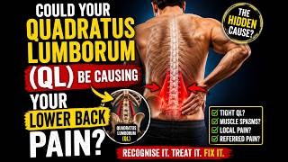How to Massage the Quadratus Lumborum using Knuckles / Forearm
